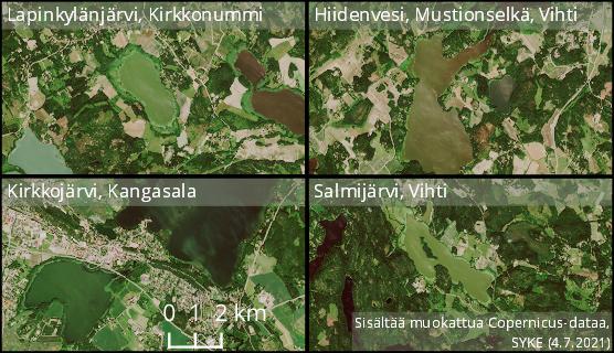 Järvikooste sinilevä vko 27